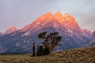 View of a field with the sun rising and a mountain