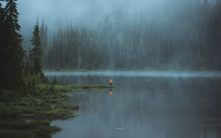 Foggy lake  near woods September 2025